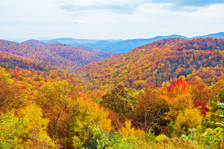 Bucket List Item!!! Drive the Blue Ridge Parkway in Asheville, North Carolina in the fall!