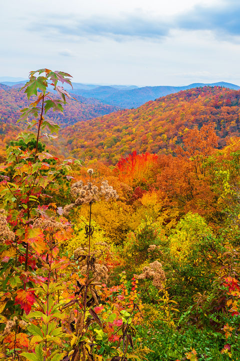 Bucket List Item!!! Drive the Blue Ridge Parkway in Asheville, North Carolina in the fall!