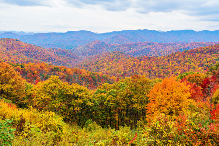 Bucket List Item!!! Drive the Blue Ridge Parkway in Asheville, North Carolina in the fall!