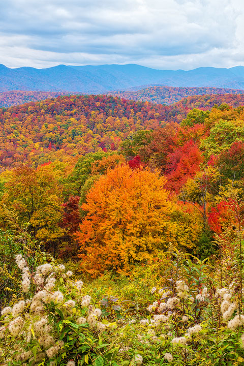 Bucket List Item!!! Drive the Blue Ridge Parkway in Asheville, North Carolina in the fall!