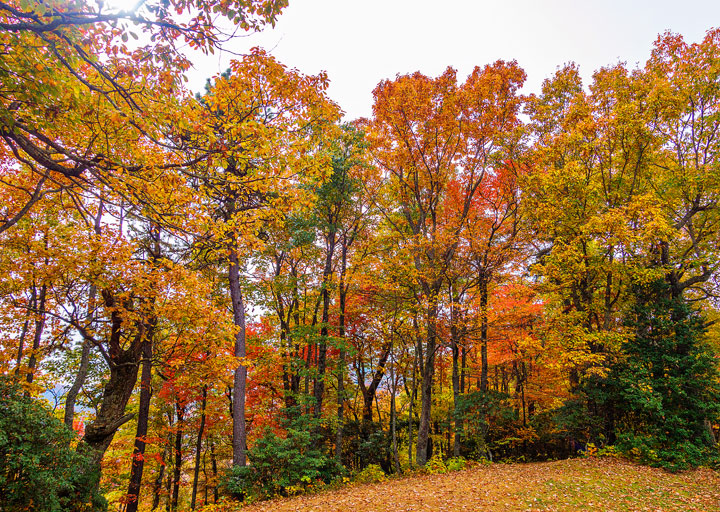 Bucket List Item!!! Drive the Blue Ridge Parkway in Asheville, North Carolina in the fall!