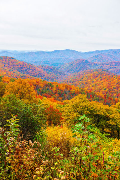 Bucket List Item!!! Drive the Blue Ridge Parkway in Asheville, North Carolina in the fall!