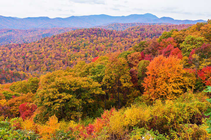 Bucket List Item!!! Drive the Blue Ridge Parkway in Asheville, North Carolina in the fall!