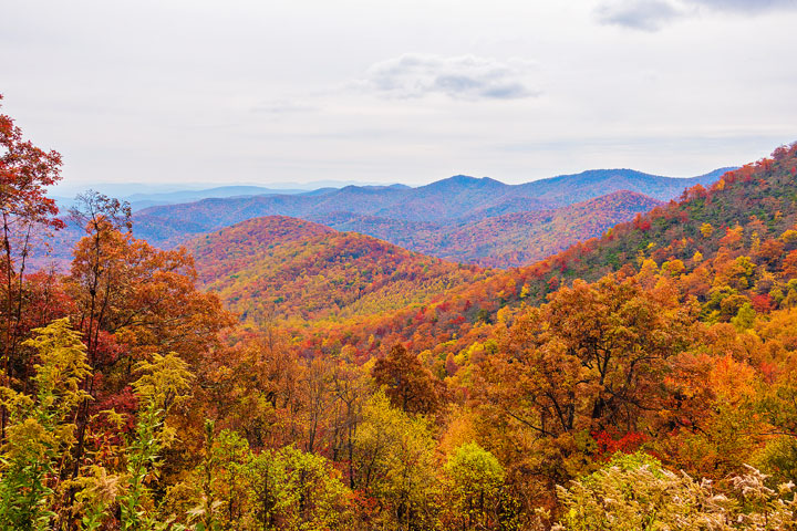 Bucket List Item!!! Drive the Blue Ridge Parkway in Asheville, North Carolina in the fall!