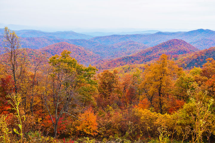 Bucket List Item!!! Drive the Blue Ridge Parkway in Asheville, North Carolina in the fall!