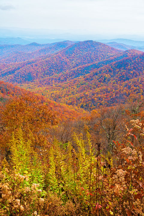 Bucket List Item!!! Drive the Blue Ridge Parkway in Asheville, North Carolina in the fall!