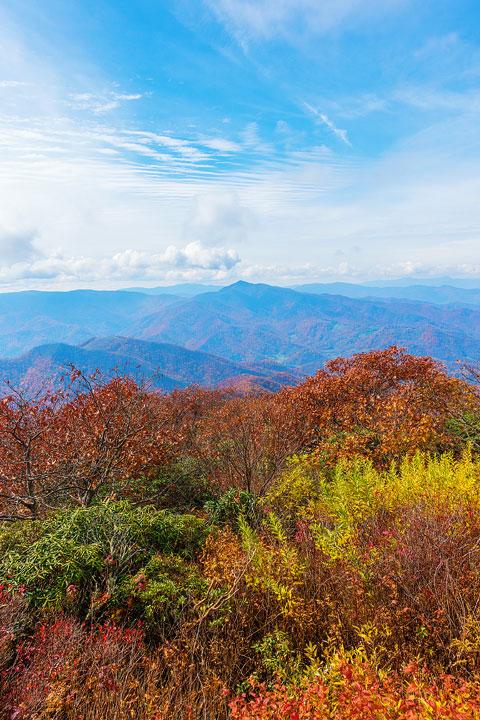 Bucket List Item!!! Drive the Blue Ridge Parkway in Asheville, North Carolina in the fall!