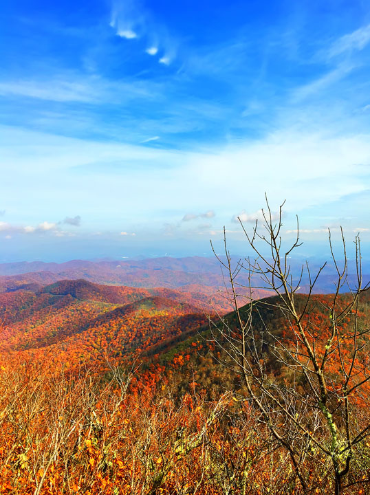 Bucket List Item!!! Drive the Blue Ridge Parkway in Asheville, North Carolina in the fall!