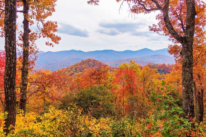 Bucket List Item!!! Drive the Blue Ridge Parkway in Asheville, North Carolina in the fall!