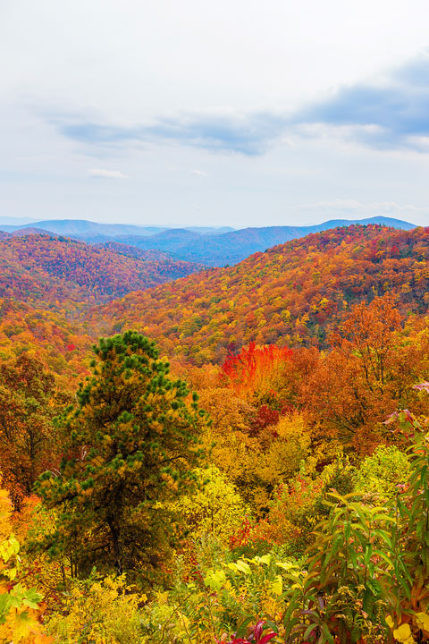 Bucket List Item!!! Drive the Blue Ridge Parkway in Asheville, North Carolina in the fall!