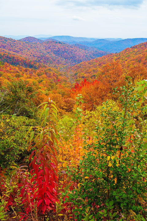 Bucket List Item!!! Drive the Blue Ridge Parkway in Asheville, North Carolina in the fall!