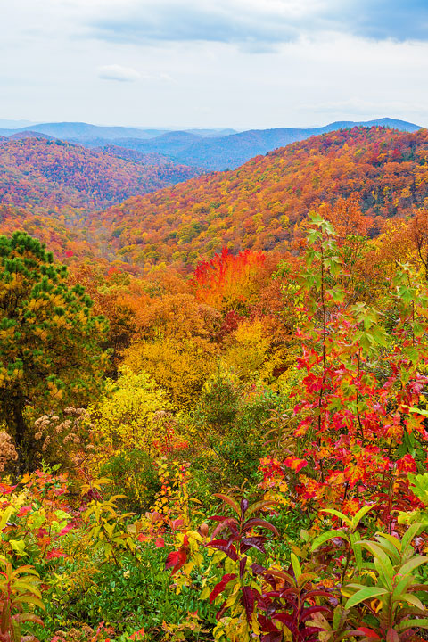 Bucket List Item!!! Drive the Blue Ridge Parkway in Asheville, North Carolina in the fall!