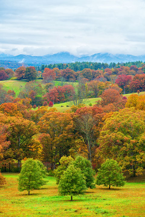 asheville north carolina food restaurant guide where to eat biltmore estate-11