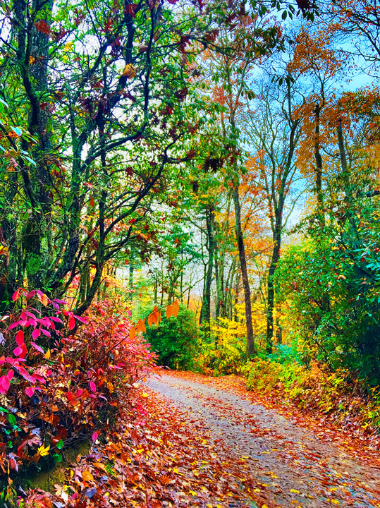 Fall in Highlands, North Carolina. One of the world's Top 10 Sunset Spots!