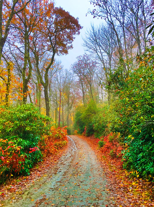 Fall in Highlands, North Carolina. One of the world's Top 10 Sunset Spots!