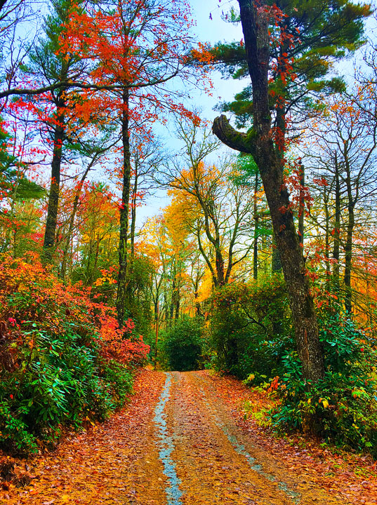 Fall in Highlands, North Carolina. One of the world's Top 10 Sunset Spots!