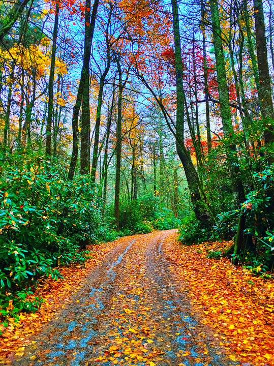 Fall in Highlands, North Carolina. One of the world's Top 10 Sunset Spots!