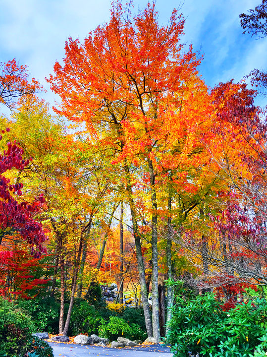 Fall in Highlands, North Carolina. One of the world's Top 10 Sunset Spots!