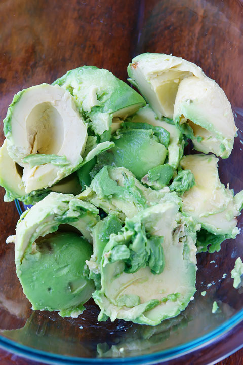 This is literally the BEST guacamole recipe ever!!