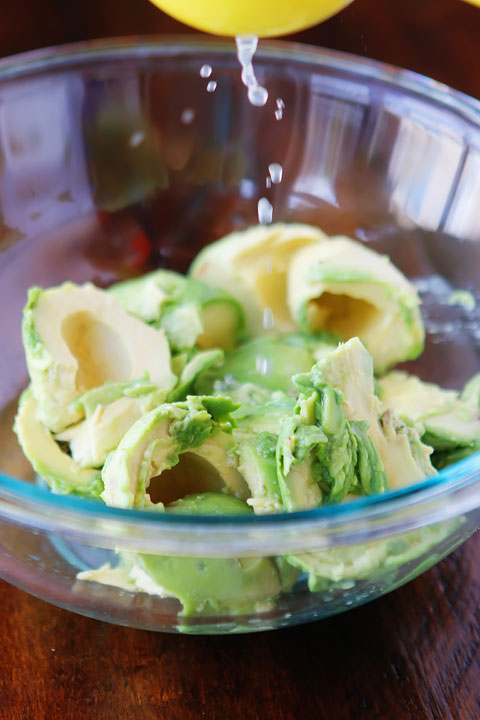 This is literally the BEST guacamole recipe ever!!