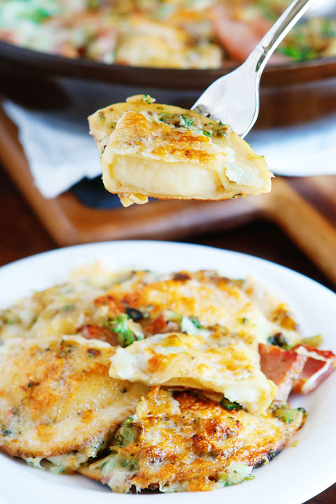 Pierogi Recipe