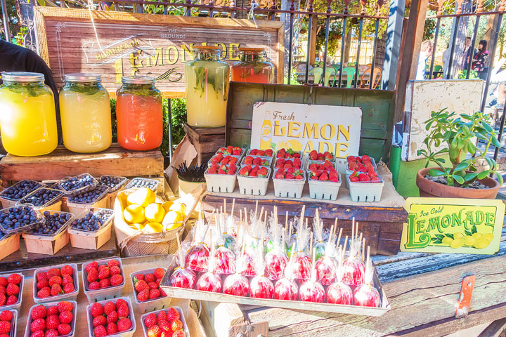 The Grounds of Alexandria. Breakfast and Brunch Cafe in Sydney, Australia. Don't miss the farmer's market on the weekends!