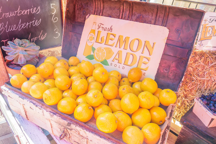 The Grounds of Alexandria. Breakfast and Brunch Cafe in Sydney, Australia. Don't miss the farmer's market on the weekends!