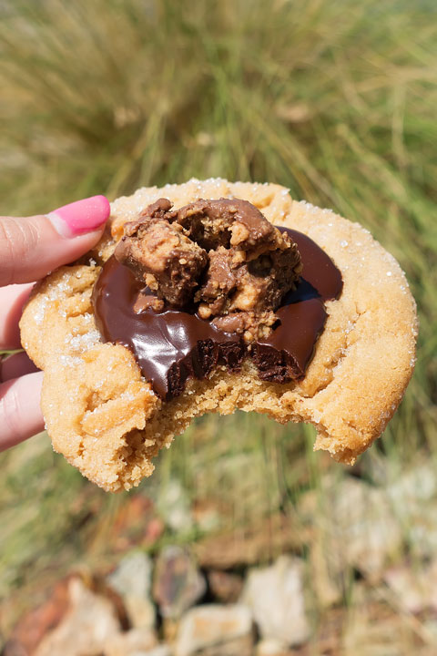 Image of a Peanut Butter Cup Cookie from Sassy's Bakery Case