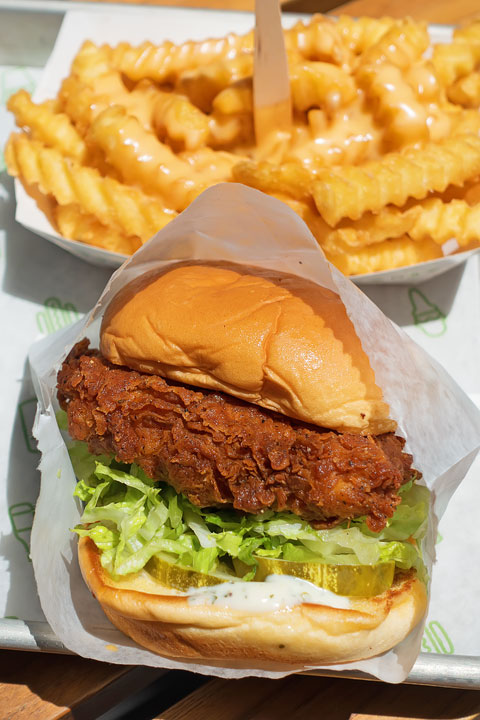 Image of a Chicken Sandwich from Shake Shack