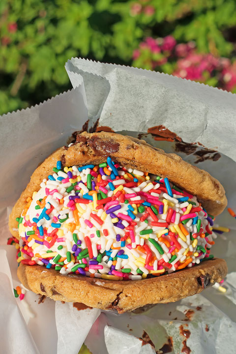Image of a Salted Chocolate Chip Cookie Sandwich from Churn