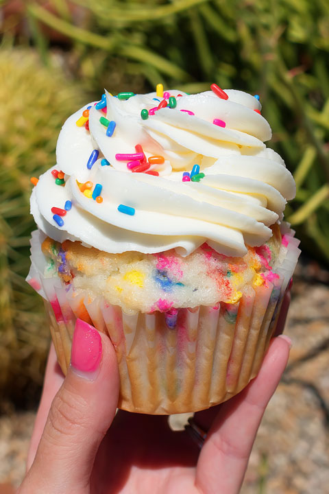 Image of a Funfetti Cupcake from Caketini