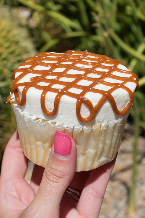 Image of a Salted Caramel Cupcake From Caketini