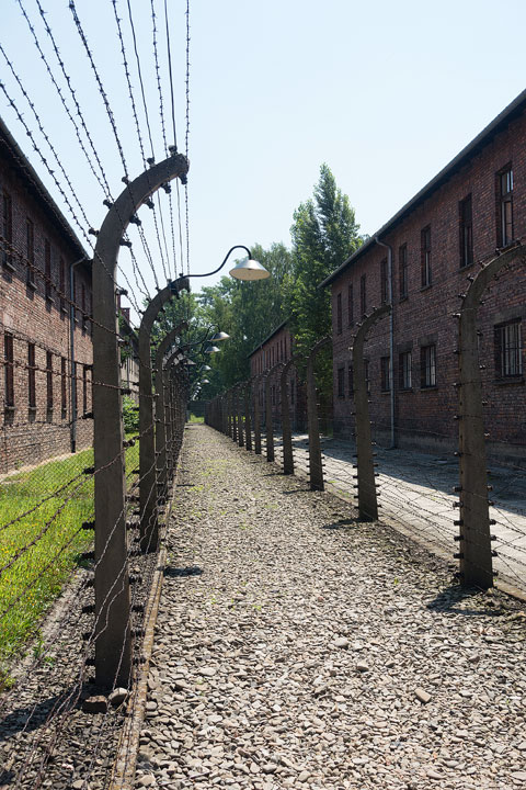 Auschwitz Holocaust Concentration Camps