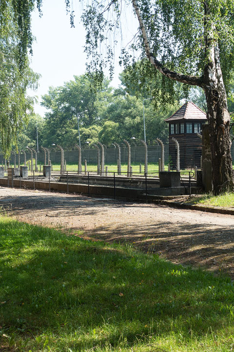 Auschwitz Holocaust Concentration Camps