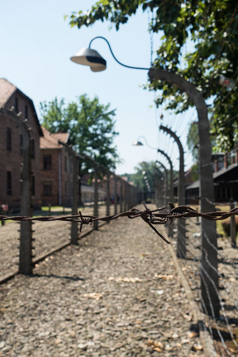Auschwitz Holocaust Concentration Camps