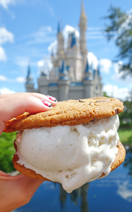Where to Eat at Disney World in Orlando!