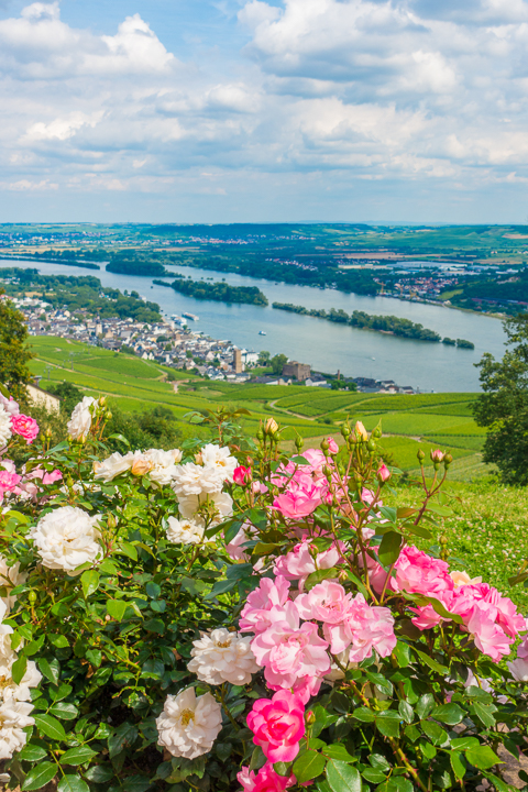 Visiting Heidelberg, Mainz, Rudesheim, and Trier on the Cities of Light Viking River Cruise from Prague to Paris!