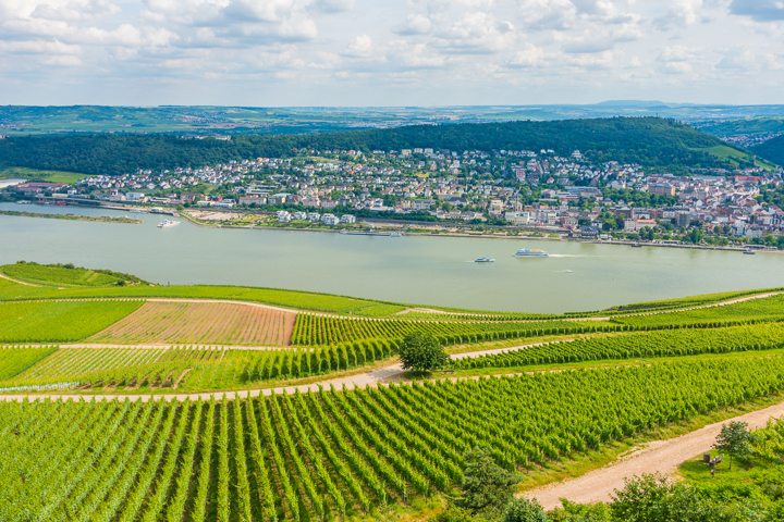 Visiting Heidelberg, Mainz, Rudesheim, and Trier on the Cities of Light Viking River Cruise from Prague to Paris!