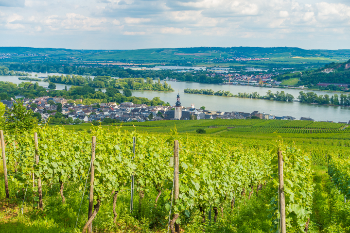 Visiting Heidelberg, Mainz, Rudesheim, and Trier on the Cities of Light Viking River Cruise from Prague to Paris!