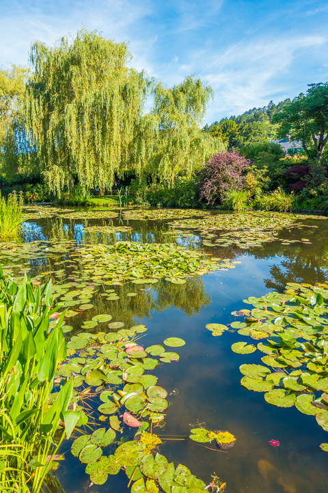 Take an easy, half-day trip from Paris to see Claude Monet's gardens and home in Giverny and see the famous water lilies pond!