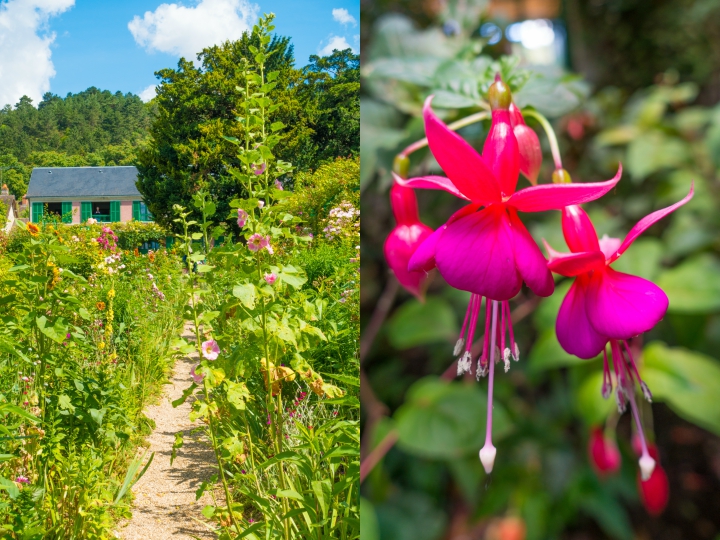 Take an easy, half-day trip from Paris to see Claude Monet's gardens and home in Giverny and see the famous water lilies pond!