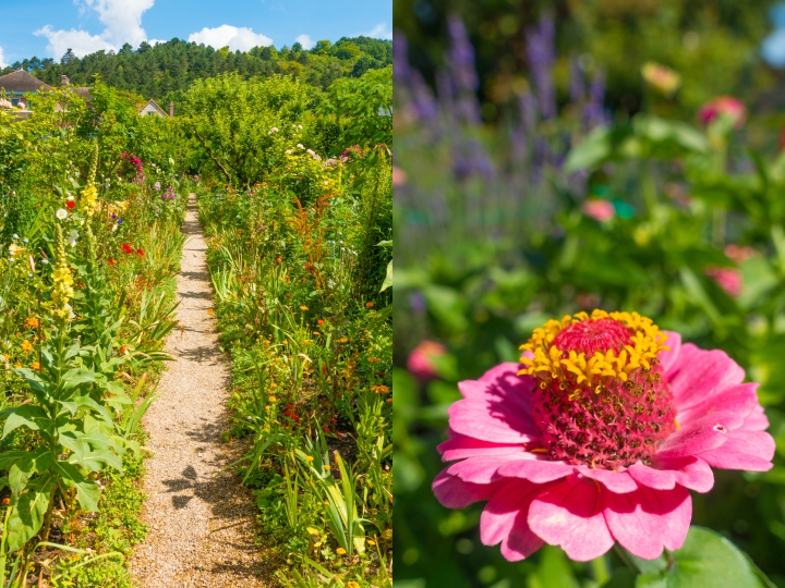 Take an easy, half-day trip from Paris to see Claude Monet's gardens and home in Giverny and see the famous water lilies pond!