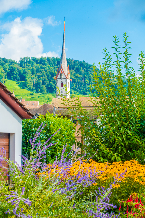 Three Incredible Day Trips from Zurich - Rhine Falls, Stein am Rhein, and Lichtenstein!