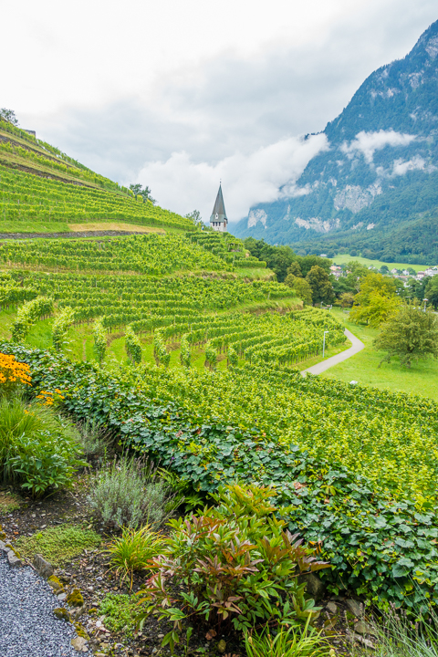 Three Incredible Day Trips from Zurich - Rhine Falls, Stein am Rhein, and Lichtenstein!