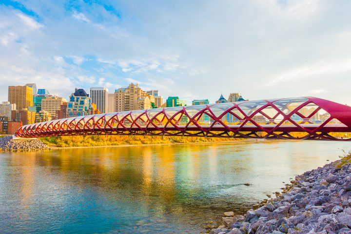 Why you should plan a trip to Calgary, Alberta just for the FOOD!!!