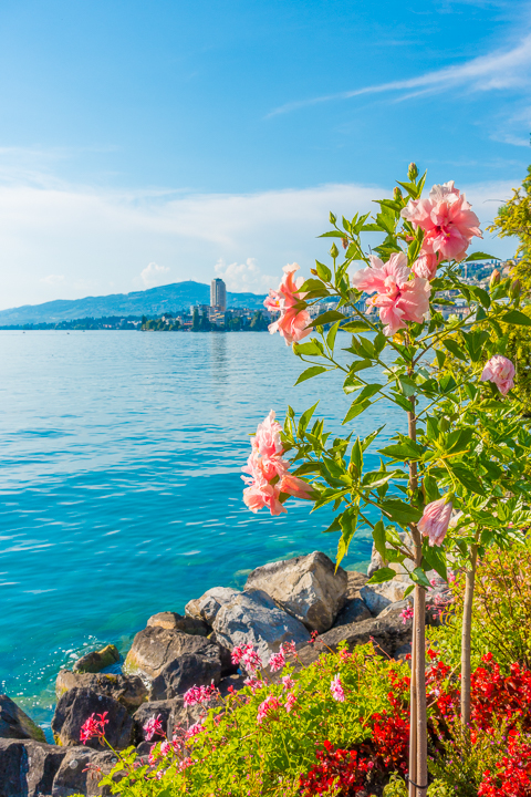 The best food, restaurants, and hotels in Montreux, Switzerland. Why this beautiful lakeside town should DEFINITELY be on your bucket list!!!