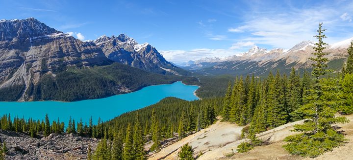 All the lakes you HAVE to see in Banff National Park near Lake Louise!