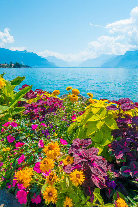 Five Things To Do in Montreux, Switzerland. Why this beautiful lakeside town should DEFINITELY be on your bucket list!!!