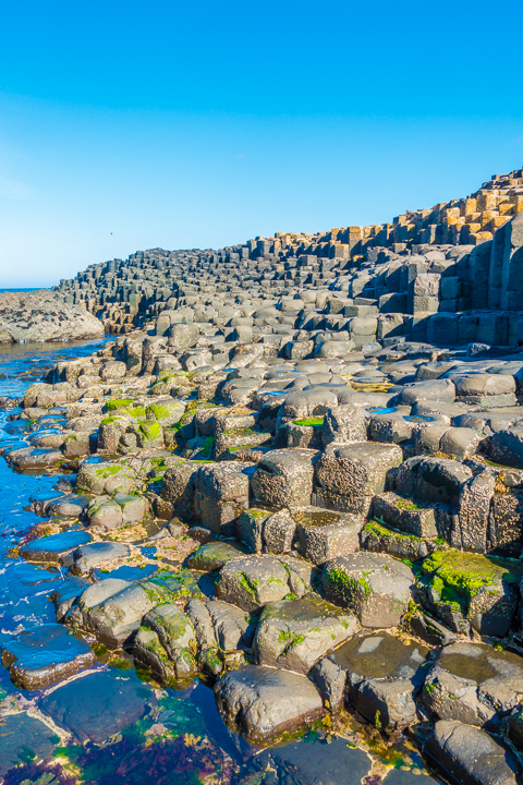 It's worth going to Northern Ireland just to visit Giant's Causeway!