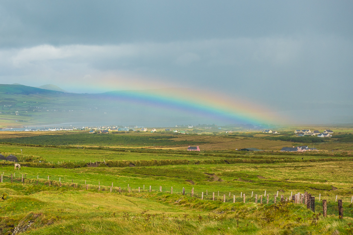 Which scenic drive should you take in Ireland? The Ring of Kerry or the Dingle Peninsula?